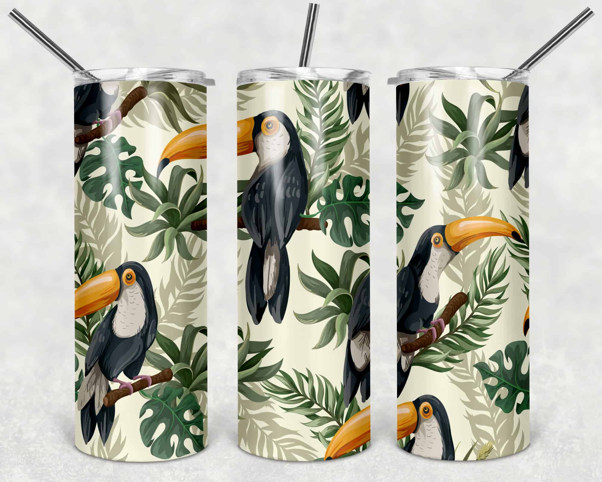 Toucans