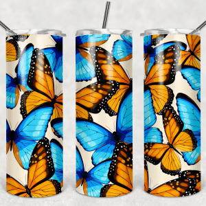 Blue and Orange Butterfly