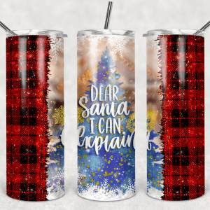 Dear Santa I Can Explain