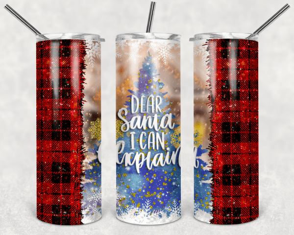 Dear Santa I Can Explain