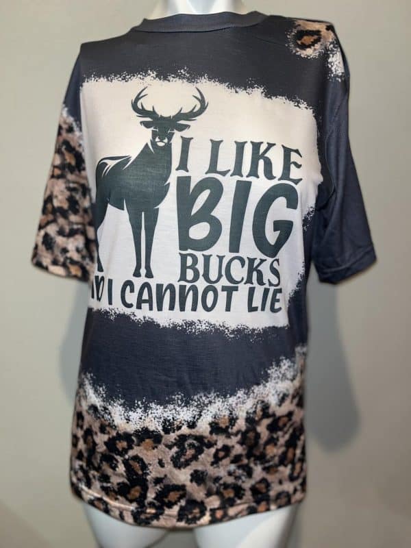 I Like BIG Bucks And I Cannot Lie