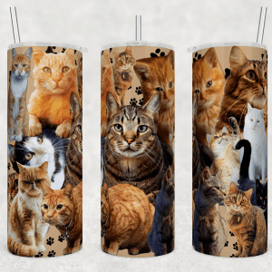 Cat Collage