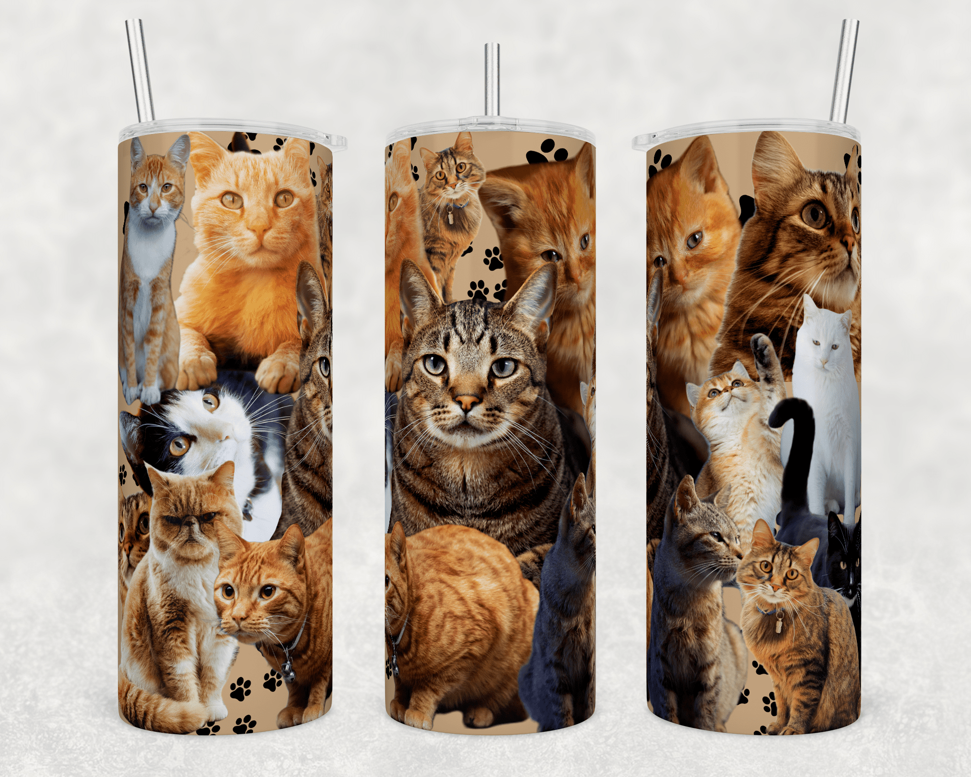 Cat Collage