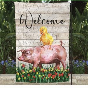 Welcome-Pig and Baby Chicken