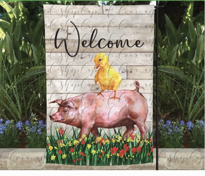 Welcome-Pig and Baby Chicken