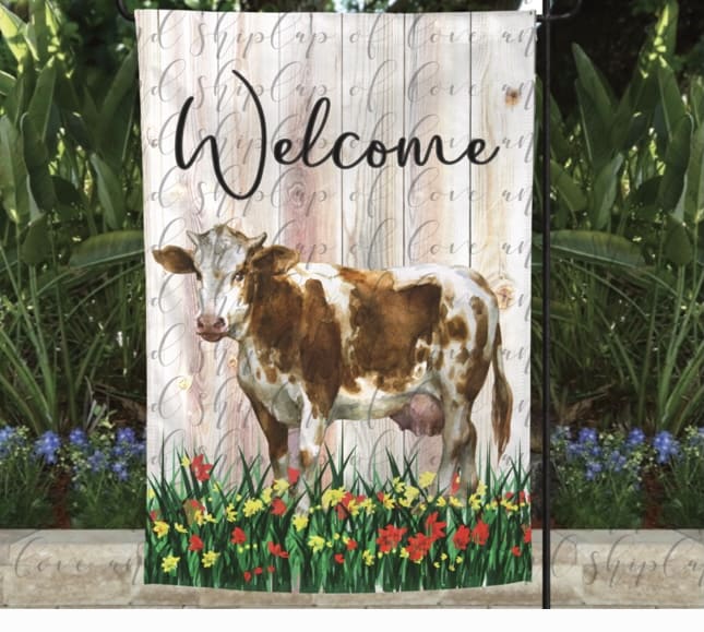 Welcome-Brown and White Cow