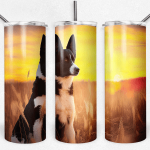 Karelian Bear Dog in Field with Sunrise