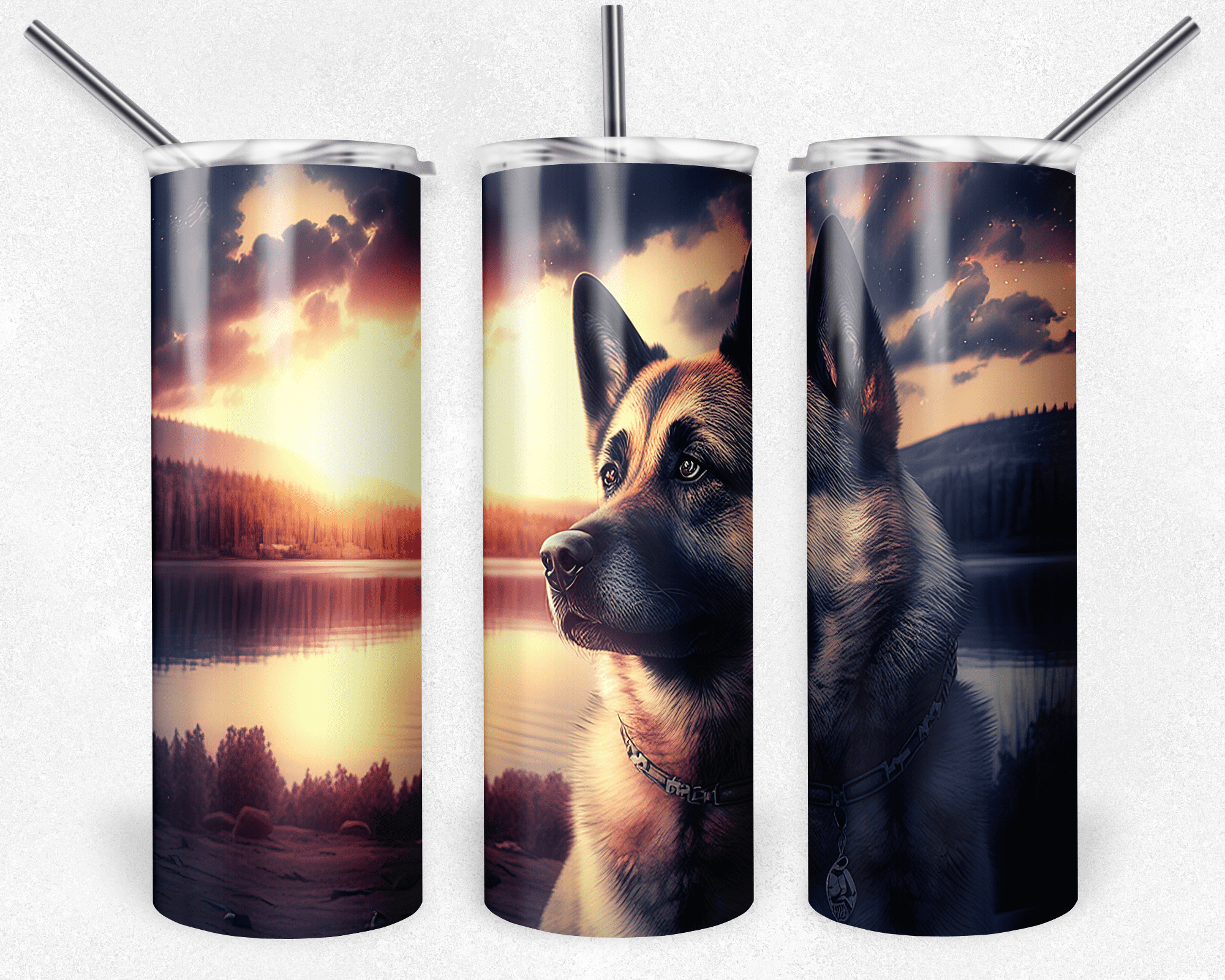 Norwegian Elkhound Dog Near Lake with Sunrise