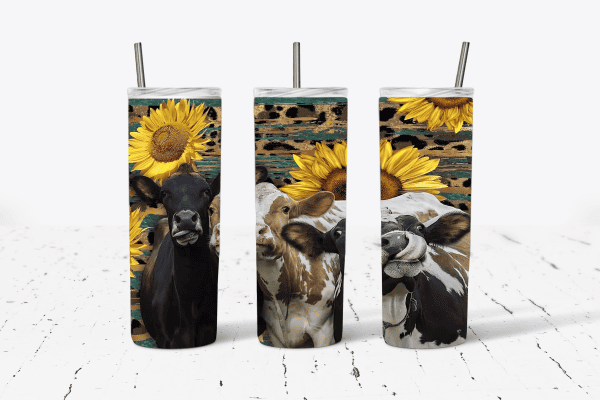 Three Cows and Daisies